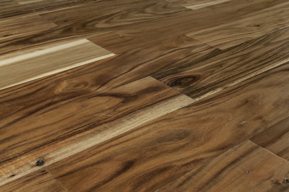free sles jasper engineered hardwood nakai acacia free sles jasper engineered hardwood nakai acacia