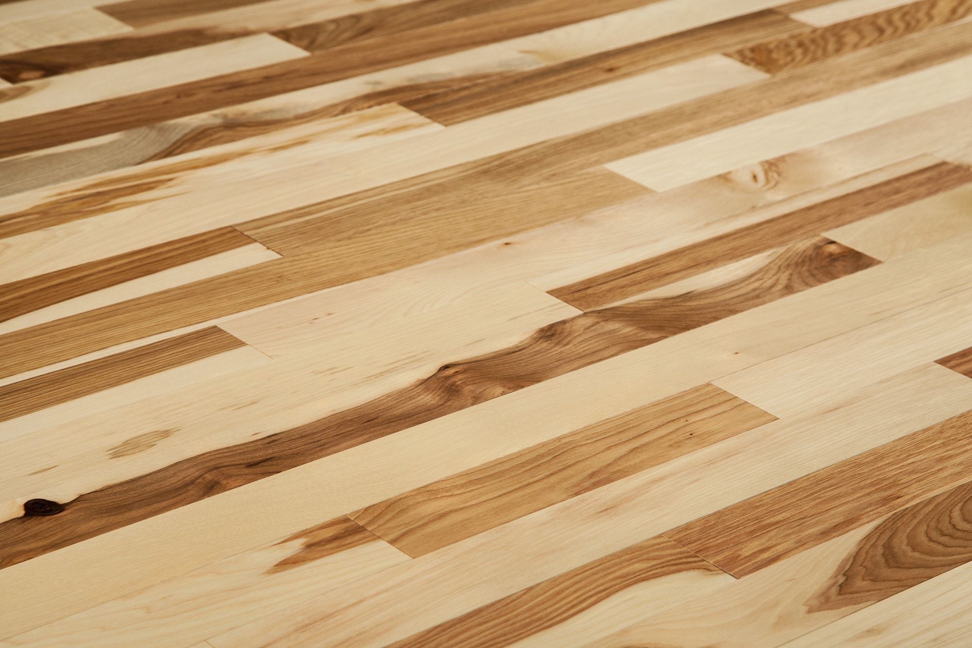 hickory wood floors modern house hickory wood floors modern house